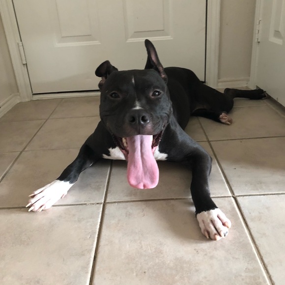 Meet your Posher, Laura - Picture 5 of 8